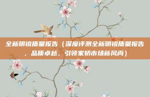 全新明锐质量报告（深度评测全新明锐质量报告，品质卓越，引领家轿市场新风尚）