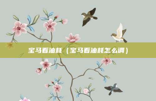 宝马看油耗(宝马看油耗怎么调)