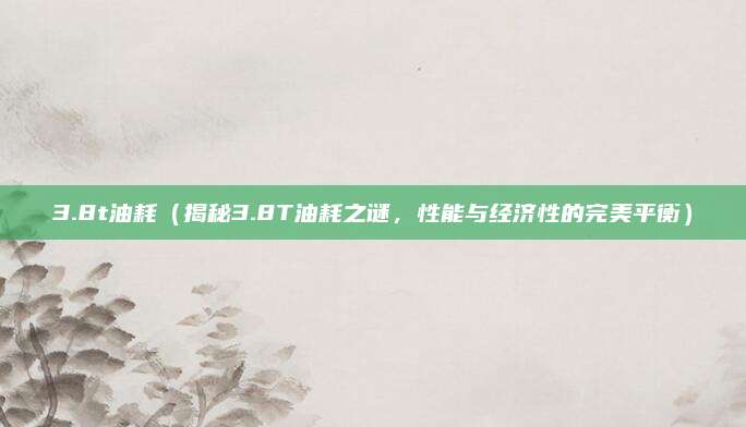 3.8t油耗（揭秘3.8T油耗之谜，性能与经济性的完美平衡）