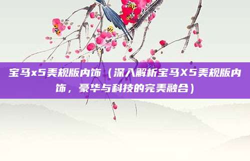 宝马x5美规版内饰(深入解析宝马X5美规版内饰,豪华与科技的完美融合)