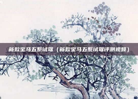 新款宝马五系试驾(新款宝马五系试驾评测视频)