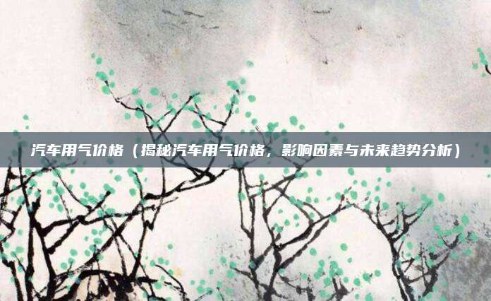 汽车用气价格（揭秘汽车用气价格，影响因素与未来趋势分析）