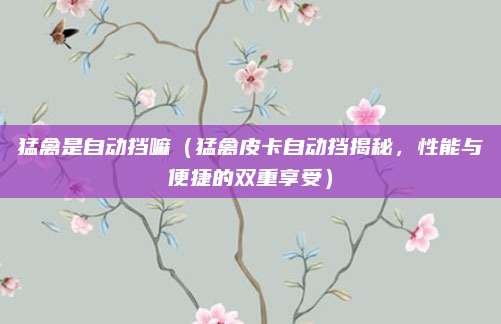 猛禽是自动挡嘛（猛禽皮卡自动挡揭秘，性能与便捷的双重享受）
