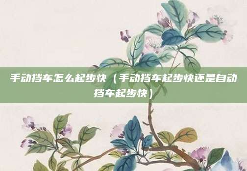 手动挡车怎么起步快(手动挡车起步快还是自动挡车起步快)
