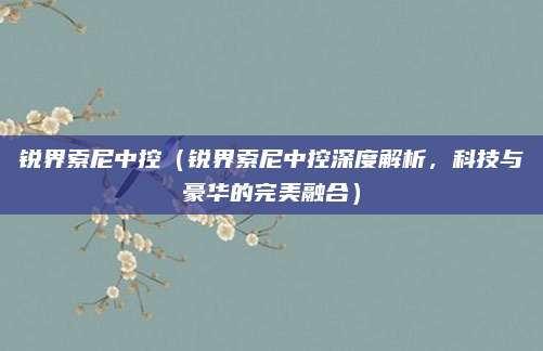 锐界索尼中控（锐界索尼中控深度解析，科技与豪华的完美融合）
