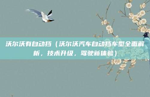 沃尔沃有自动挡（沃尔沃汽车自动挡车型全面解析，技术升级，驾驶新体验）