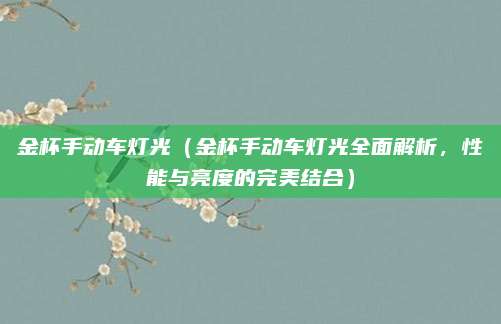 金杯手动车灯光（金杯手动车灯光全面解析，性能与亮度的完美结合）