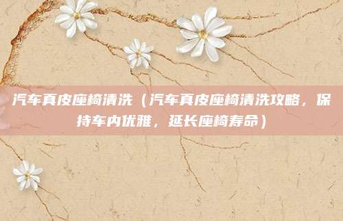 汽车真皮座椅清洗（汽车真皮座椅清洗攻略，保持车内优雅，延长座椅寿命）