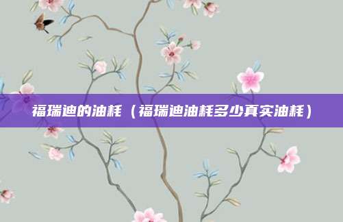 福瑞迪的油耗(福瑞迪油耗多少真实油耗)