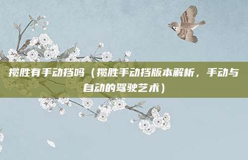 揽胜有手动挡吗（揽胜手动挡版本解析，手动与自动的驾驶艺术）