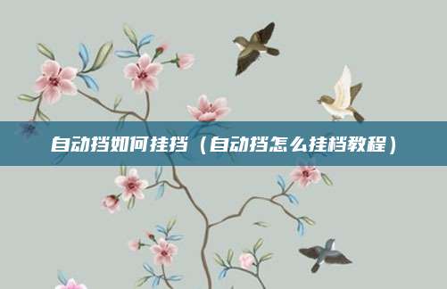 自动挡如何挂挡(自动挡怎么挂档教程)