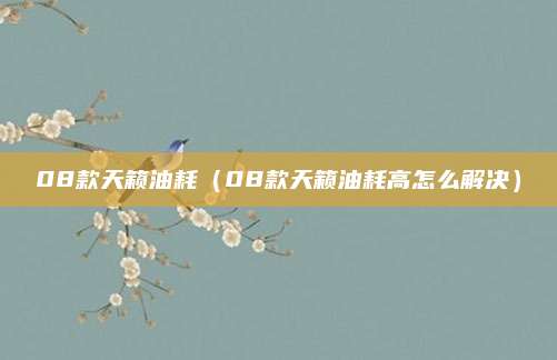 08款天籁油耗(08款天籁油耗高怎么解决)