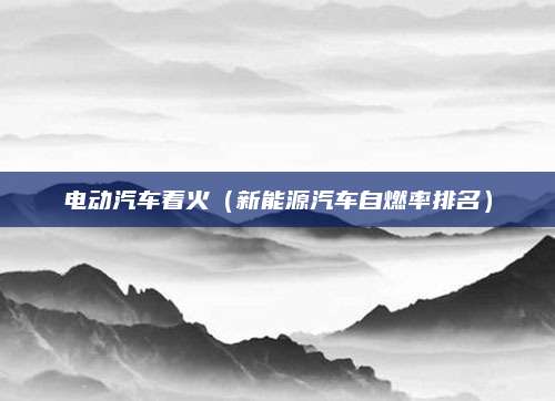 电动汽车着火(新能源汽车自燃率排名)