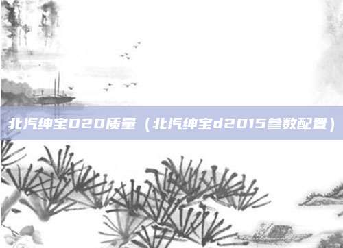 北汽绅宝D20质量(北汽绅宝d2015参数配置)