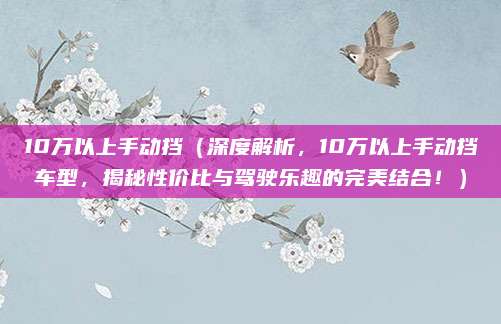 10万以上手动挡（深度解析，10万以上手动挡车型，揭秘性价比与驾驶乐趣的完美结合！）