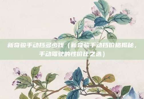 新奇骏手动挡多少钱(新奇骏手动挡价格揭秘,手动驾驶的性价比之选)