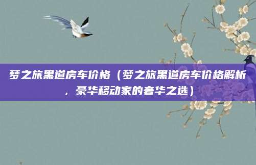 梦之旅黑道房车价格（梦之旅黑道房车价格解析，豪华移动家的奢华之选）