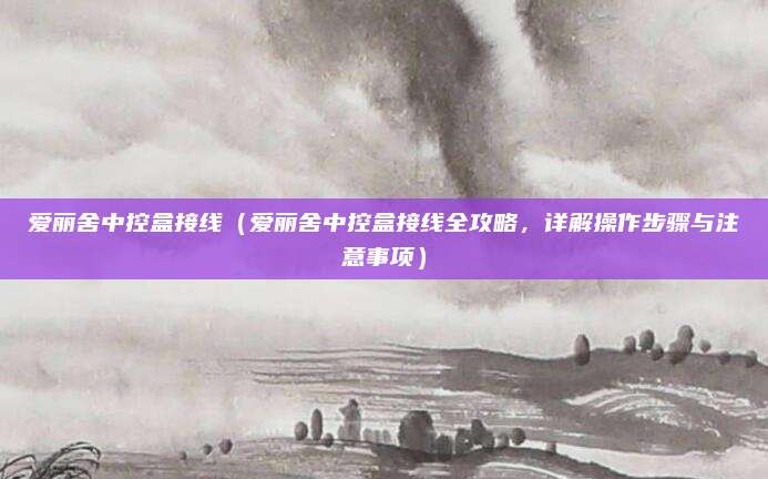 爱丽舍中控盒接线（爱丽舍中控盒接线全攻略，详解操作步骤与注意事项）