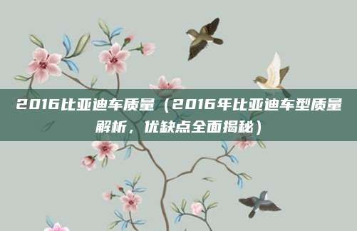 2016比亚迪车质量(2016年比亚迪车型质量解析,优缺点全面揭秘)