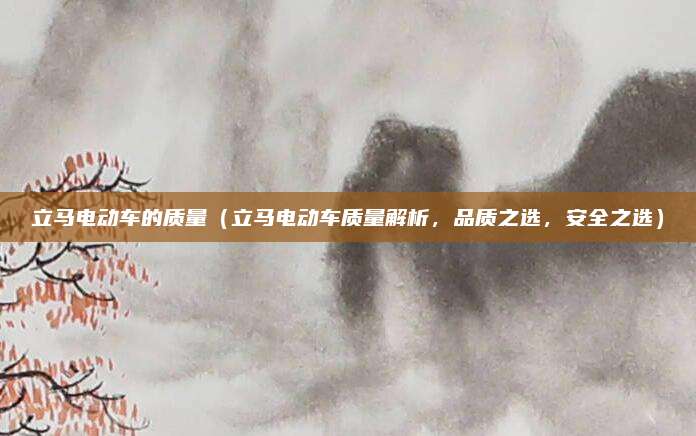 立马电动车的质量（立马电动车质量解析，品质之选，安全之选）