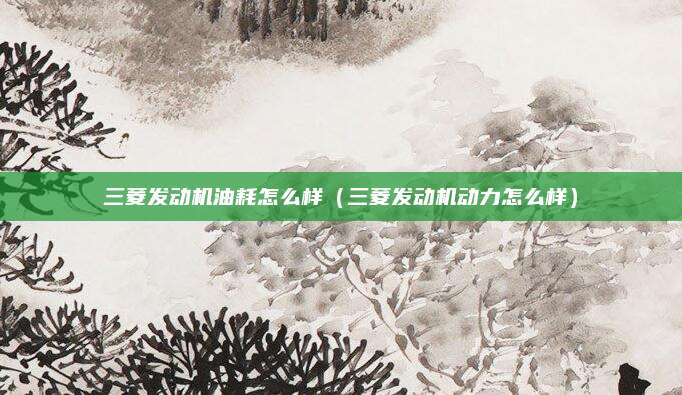 三菱发动机油耗怎么样(三菱发动机动力怎么样)