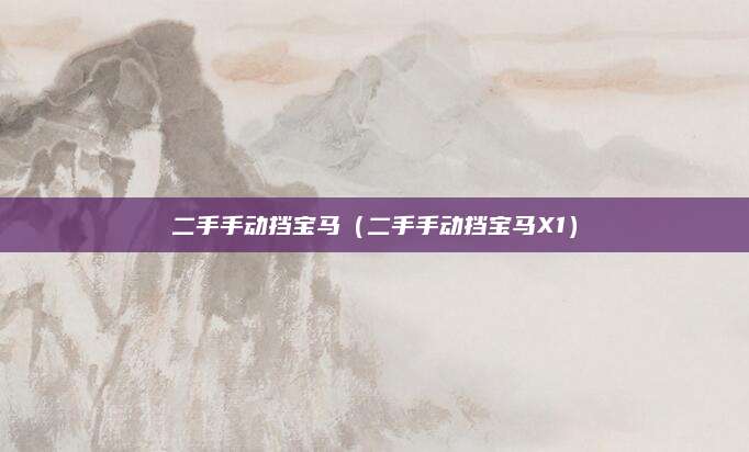 二手手动挡宝马(二手手动挡宝马X1)