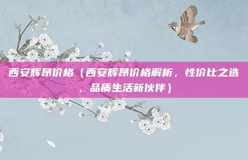 西安辉昂价格（西安辉昂价格解析，性价比之选，品质生活新伙伴）