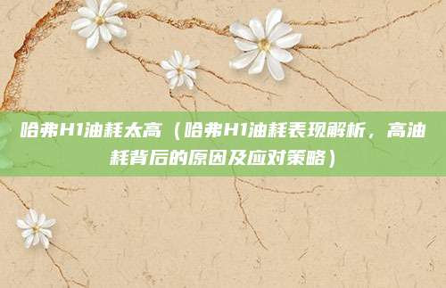 哈弗H1油耗太高(哈弗H1油耗表现解析,高油耗背后的原因及应对策略)