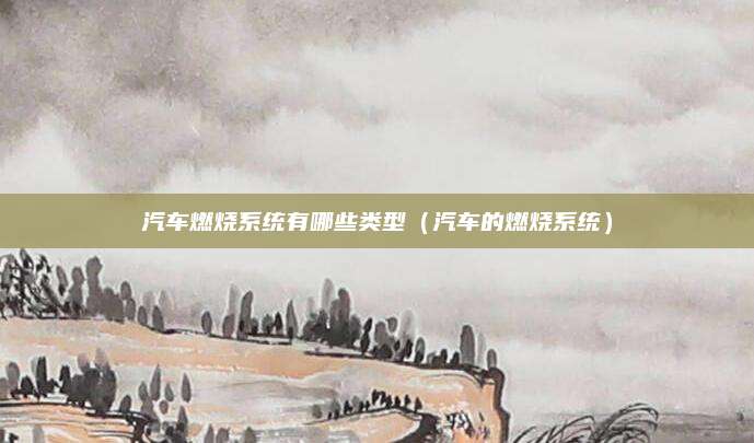汽车燃烧系统有哪些类型(汽车的燃烧系统)
