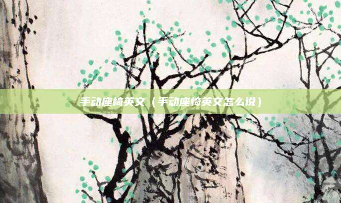 手动座椅英文(手动座椅英文怎么说)