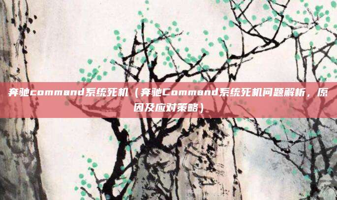 奔驰command系统死机(奔驰Command系统死机问题解析,原因及应对策略)