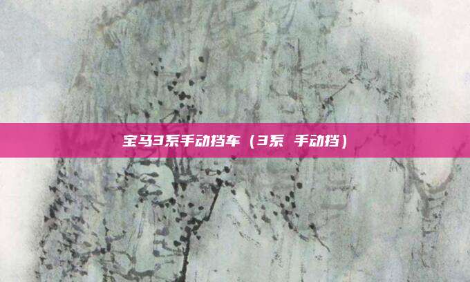宝马3系手动挡车(3系 手动挡)