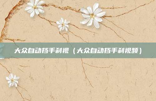 大众自动挡手刹视(大众自动挡手刹视频)
