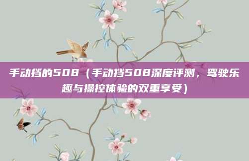 手动挡的508(手动挡508深度评测,驾驶乐趣与操控体验的双重享受)