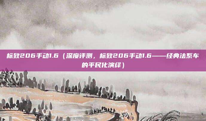 标致206手动1.6(深度评测,标致206手动1.6——经典法系车的平民化演绎)