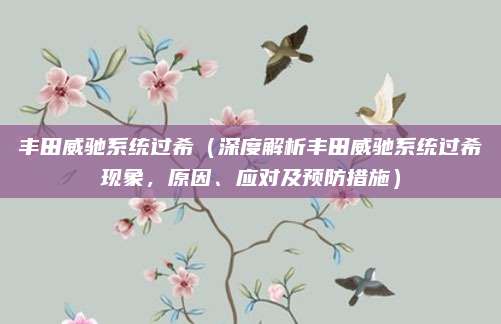 丰田威驰系统过希(深度解析丰田威驰系统过希现象,原因、应对及预防措施)