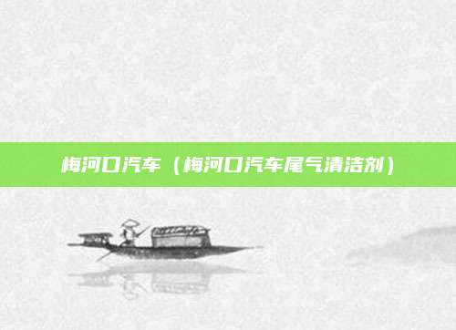 梅河口汽车（梅河口汽车尾气清洁剂）