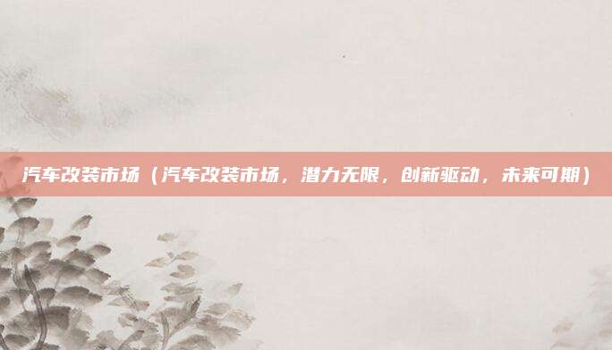 汽车改装市场(汽车改装市场,潜力无限,创新驱动,未来可期)