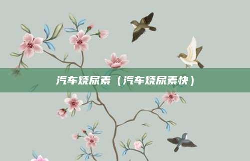 汽车烧尿素(汽车烧尿素快)