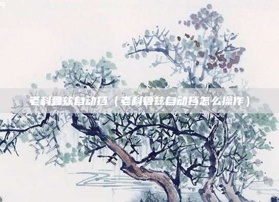 老科鲁兹自动挡(老科鲁兹自动挡怎么操作)