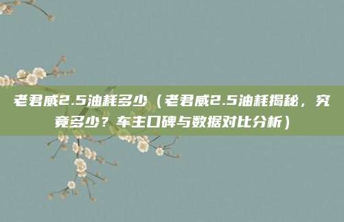 老君威2.5油耗多少(老君威2.5油耗揭秘,究竟多少?车主口碑与数据对比分析)