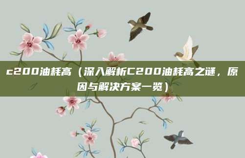 c200油耗高(深入解析C200油耗高之谜,原因与解决方案一览)