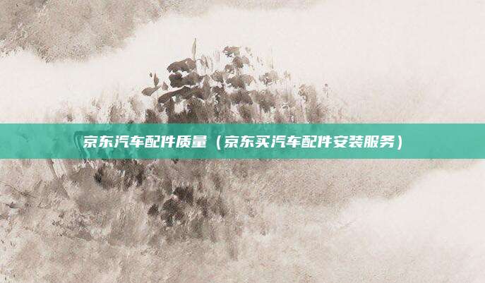 京东汽车配件质量(京东买汽车配件安装服务)