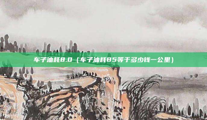 车子油耗8.0(车子油耗85等于多少钱一公里)