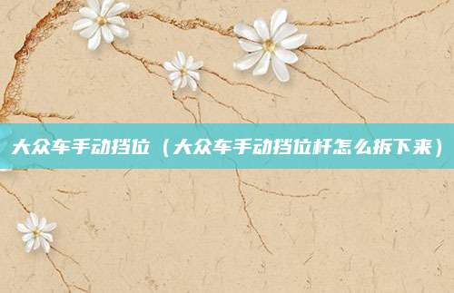 大众车手动挡位(大众车手动挡位杆怎么拆下来)