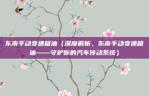 东南手动变速箱油(深度解析,东南手动变速箱油——守护你的汽车传动系统)