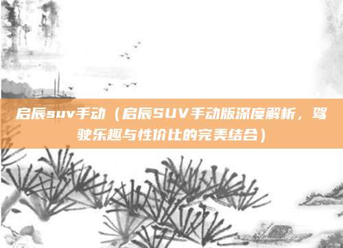 启辰suv手动(启辰SUV手动版深度解析,驾驶乐趣与性价比的完美结合)