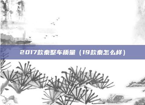 2017款秦整车质量(19款秦怎么样)