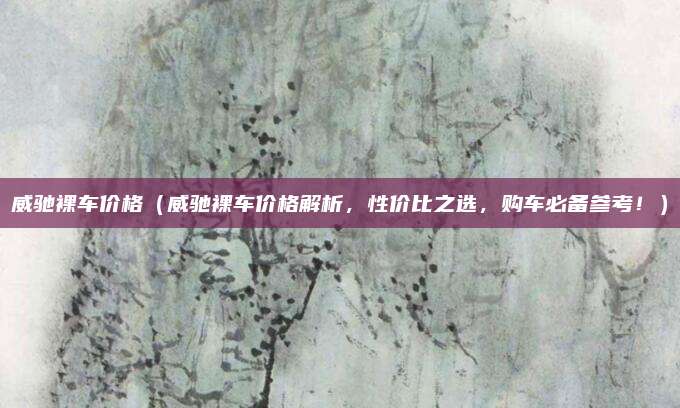 威驰裸车价格(威驰裸车价格解析,性价比之选,购车必备参考!)