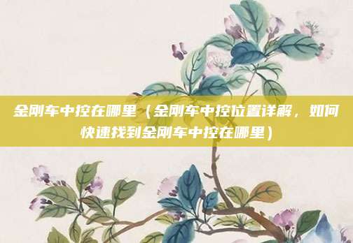 金刚车中控在哪里(金刚车中控位置详解,如何快速找到金刚车中控在哪里)